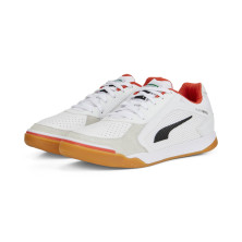 PUMA IBERO II