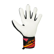 REUSCH ATTRAKT FREEGEL ADVANCE