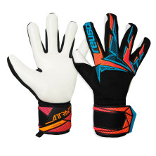REUSCH ATTRAKT FREEGEL ADVANCE
