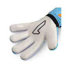 RINAT EGOTIKO X AS JR